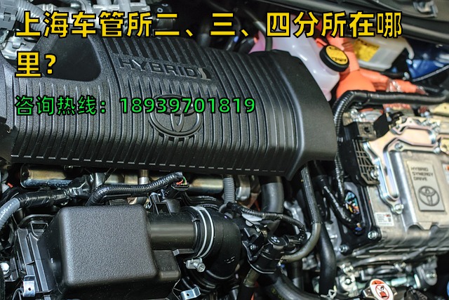 2024年上海车管所二、三、四分所在哪里？