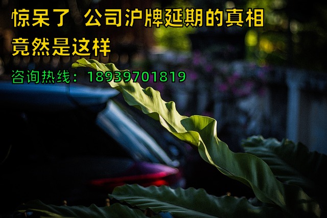 惊呆了❗️公司沪牌延期的真相竟然是这样❗️